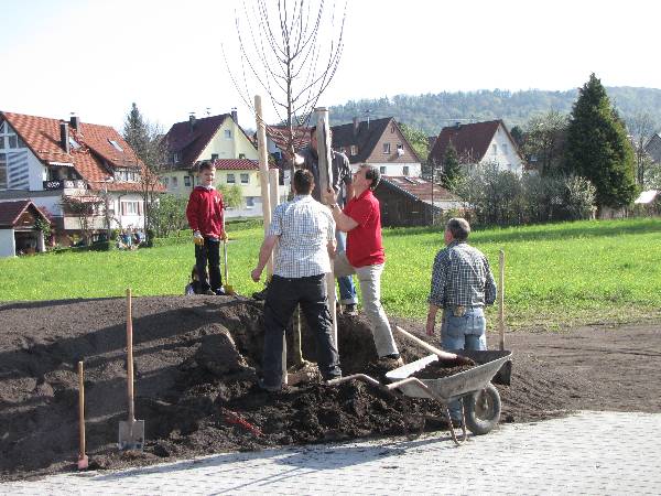 Bild 13